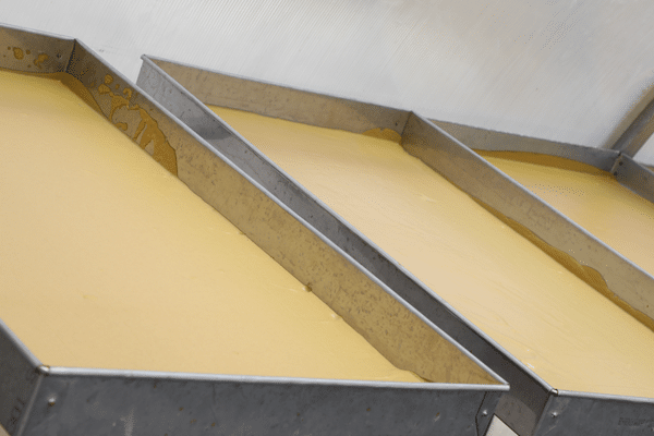 Cotton Seed Milk Powder gallery photo 3