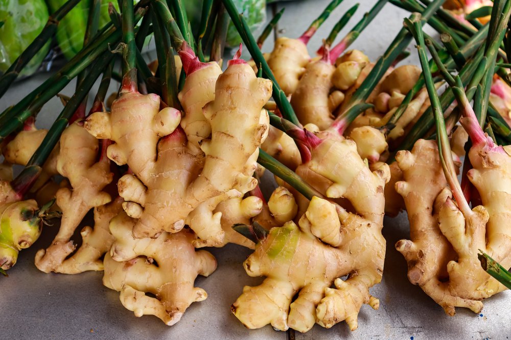 Ginger