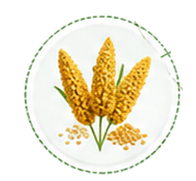 Millets